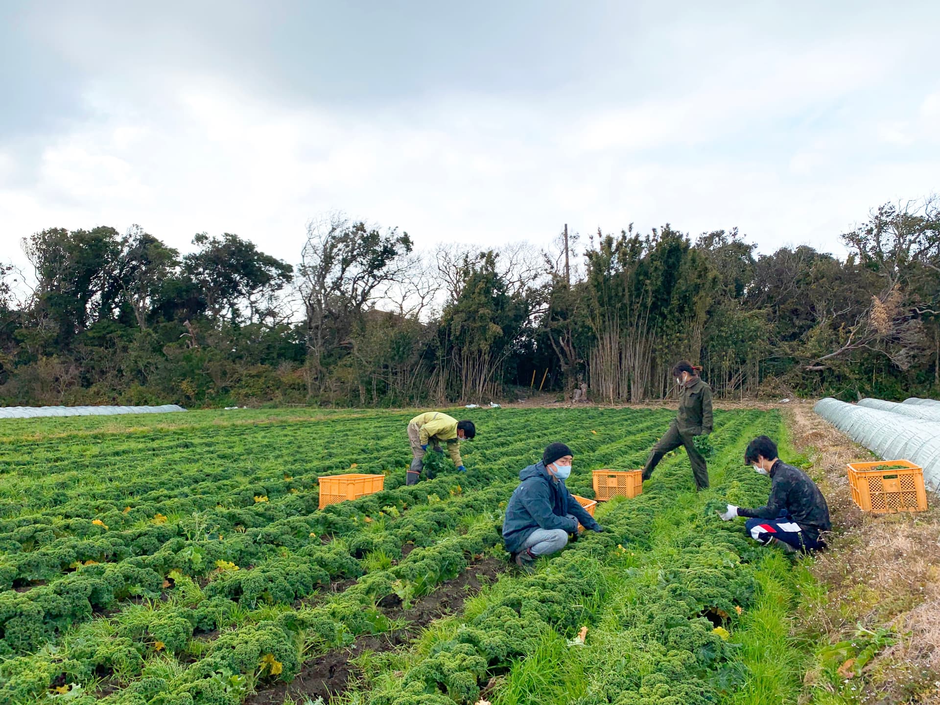 MEETSCULのイメージ5